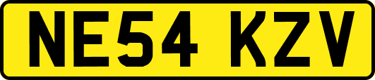 NE54KZV