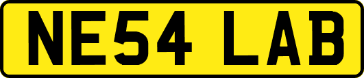 NE54LAB