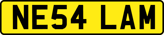 NE54LAM