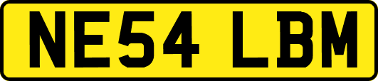 NE54LBM