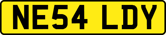 NE54LDY