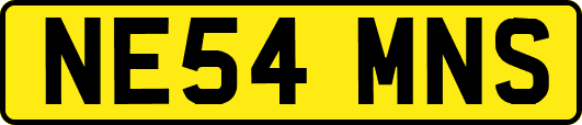 NE54MNS