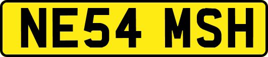 NE54MSH
