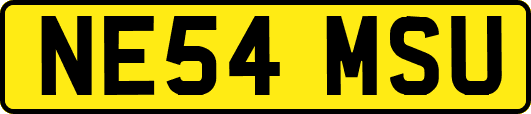 NE54MSU
