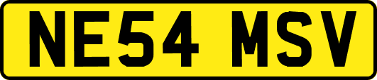 NE54MSV