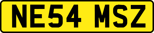 NE54MSZ