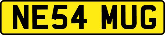 NE54MUG