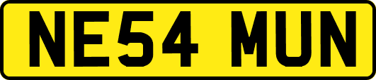 NE54MUN