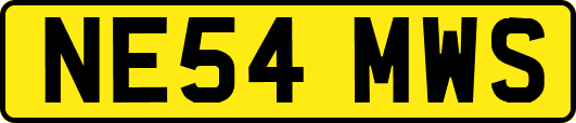 NE54MWS