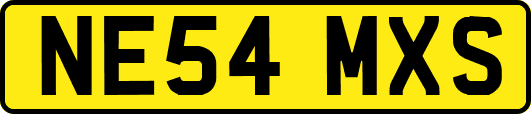 NE54MXS