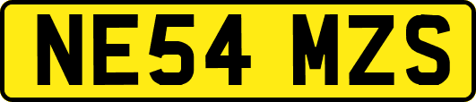 NE54MZS