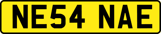 NE54NAE