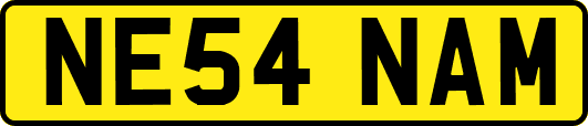 NE54NAM