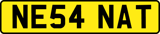 NE54NAT