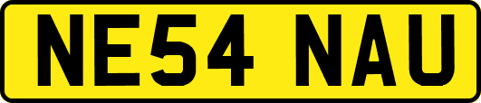 NE54NAU