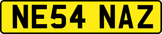 NE54NAZ