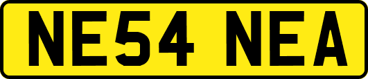 NE54NEA