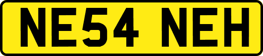 NE54NEH