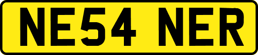 NE54NER