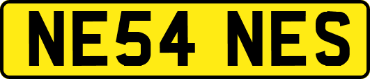 NE54NES