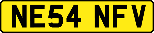NE54NFV