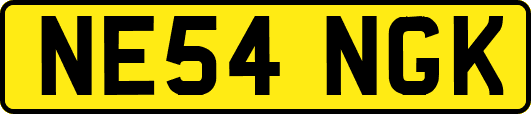 NE54NGK