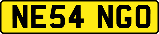 NE54NGO