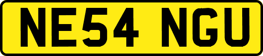 NE54NGU