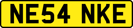 NE54NKE