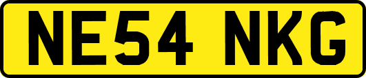 NE54NKG