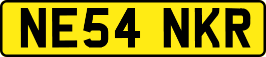 NE54NKR