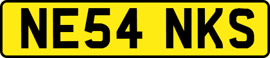 NE54NKS