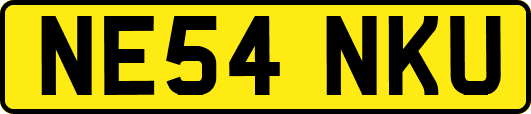 NE54NKU