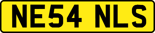 NE54NLS