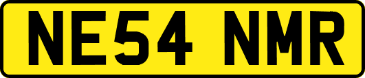 NE54NMR
