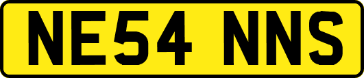 NE54NNS