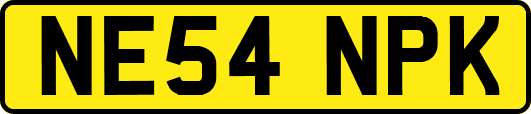 NE54NPK