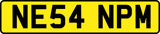 NE54NPM