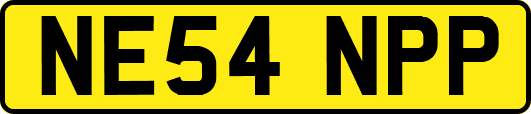 NE54NPP