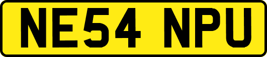 NE54NPU