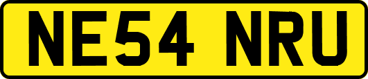 NE54NRU