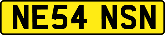 NE54NSN