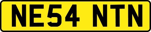NE54NTN