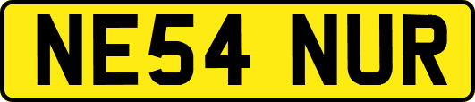 NE54NUR