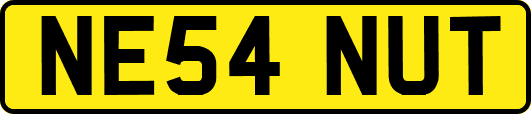 NE54NUT