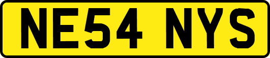 NE54NYS
