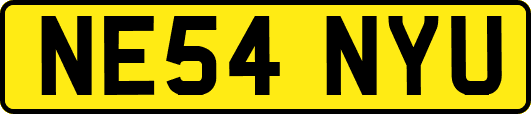 NE54NYU
