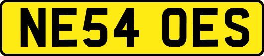 NE54OES