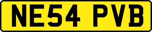 NE54PVB