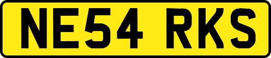 NE54RKS